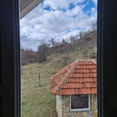 Mountain Paravci * Cajnice