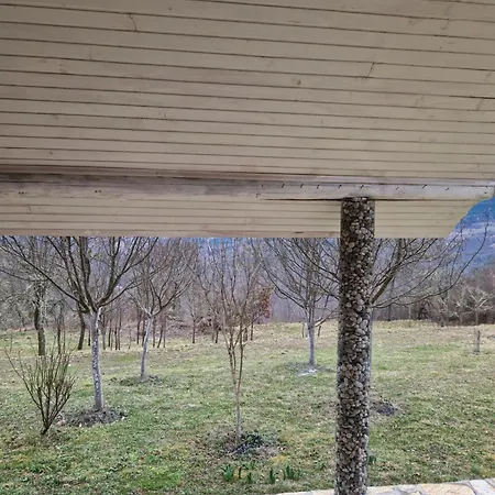 Mountain Paravci *