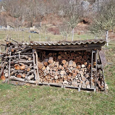 Mountain Paravci *