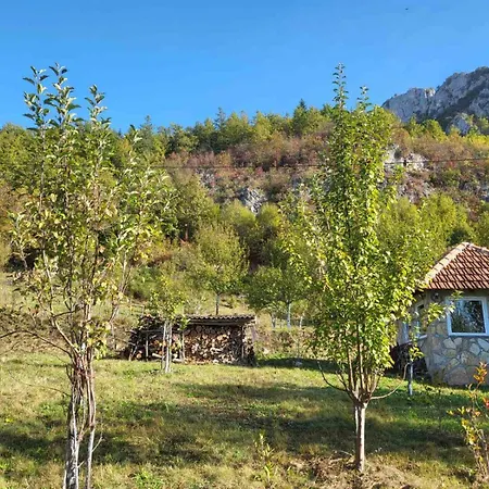 Mountain Paravci Semesterbostad *