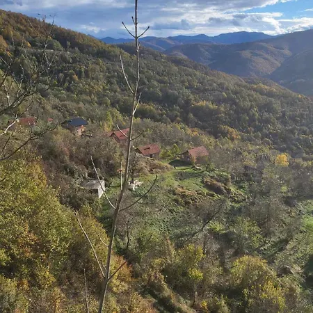 Mountain Paravci *