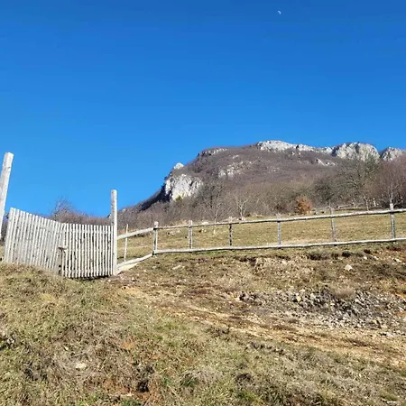Mountain Paravci