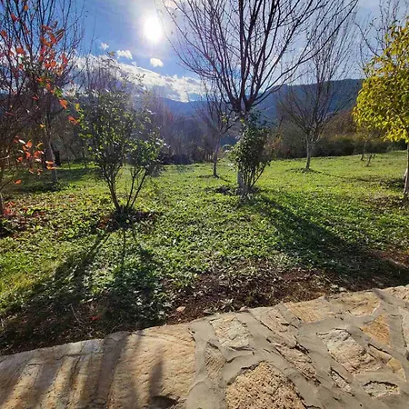 Mountain Paravci *