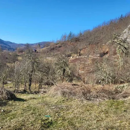 Semesterbostad Mountain Paravci