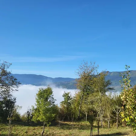 Mountain Paravci Cajnice