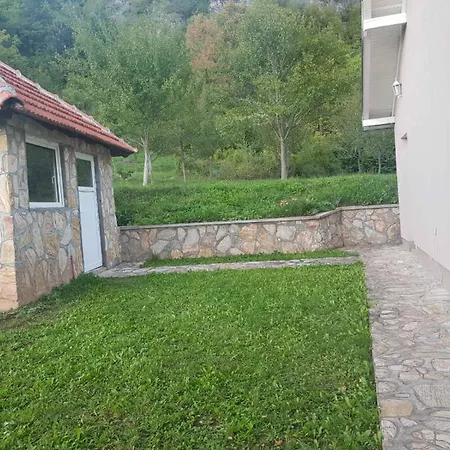 Mountain Paravci