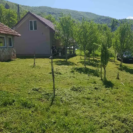 Mountain Paravci *