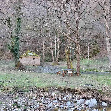 Mountain Paravci