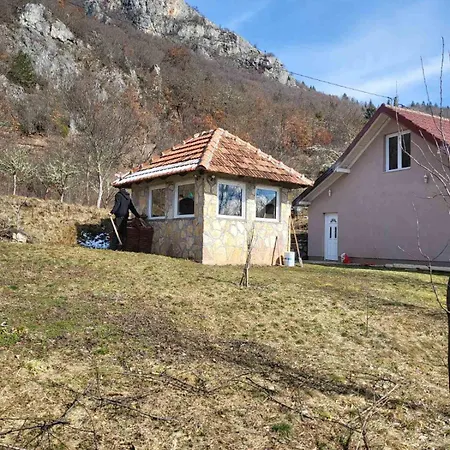 Mountain Paravci